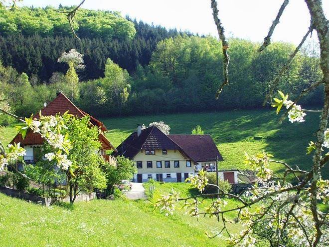 Ferienwohnung morgethof