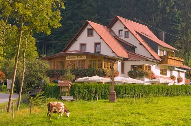 Gasthaus hohberg