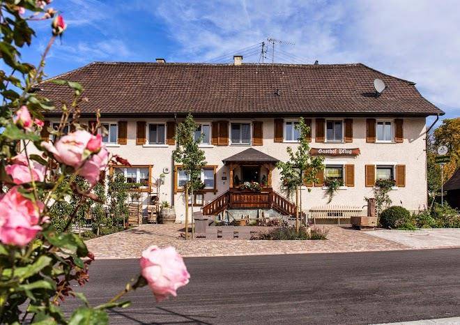 Landgasthaus zum pflug