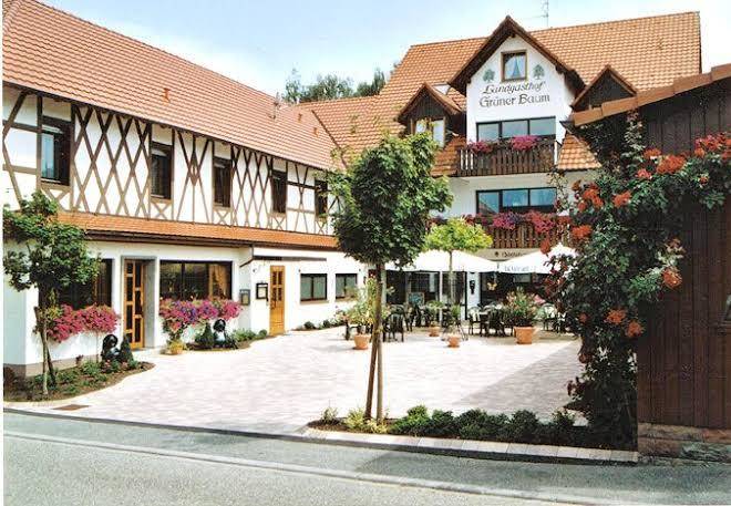 Landgasthof gruner baum