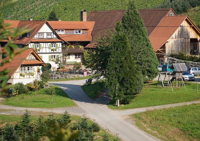 Weingut alfred huber