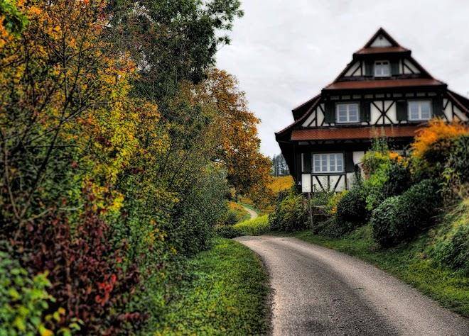 Winzerhof