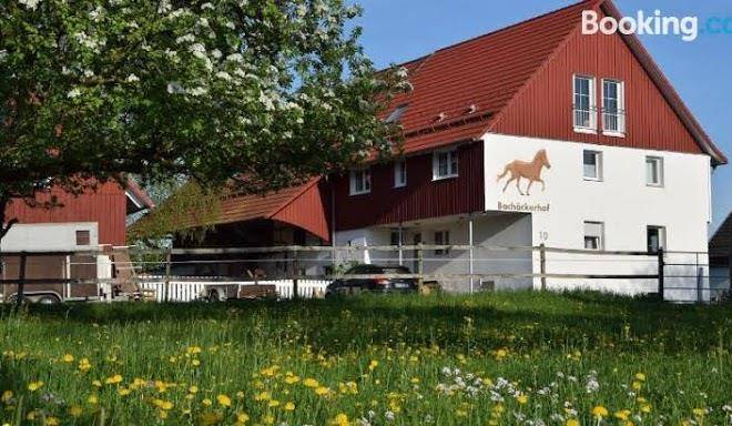 Islandpferdereitschule bachackerhof sonja waggershauser