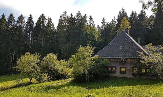 Hotel goldener rabe