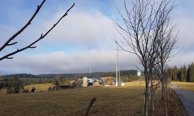 Michael Wernet Image