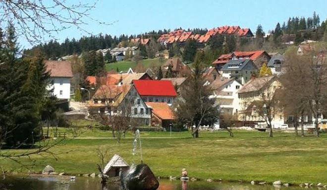 Schonachblick