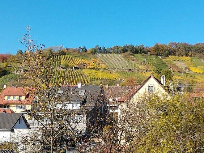 Hotel Am Schonbuchrand Image