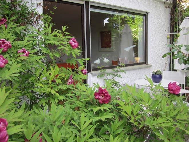 Studio dei fiori