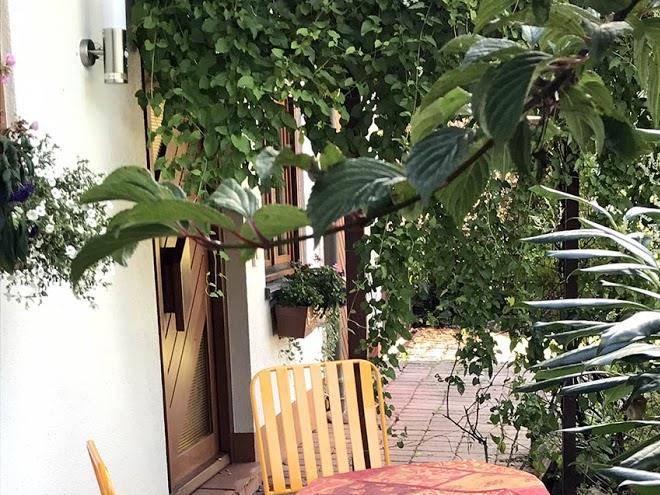 Ferienhaus zirbe 5