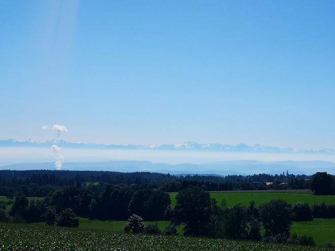 Hardy gutmann gmbh gesellschaft fur planungs und bauuberwachung