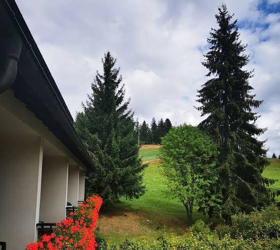 Hotel hirschen
