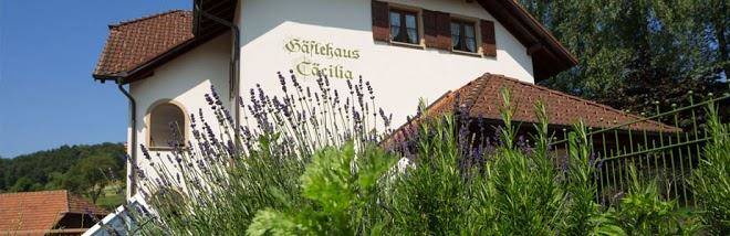 Landgasthof hirschen