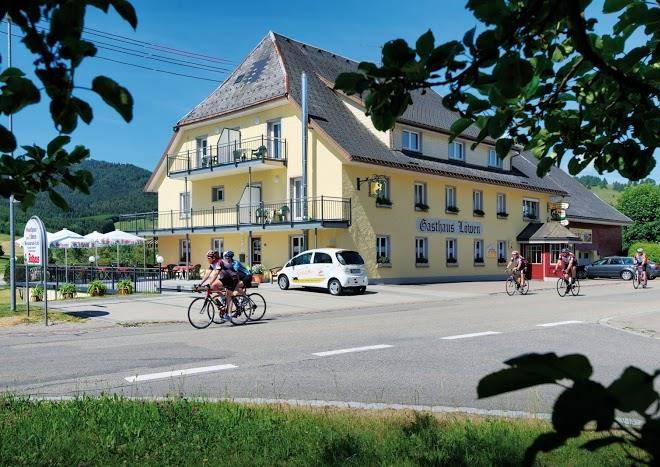 Landhotel lowen