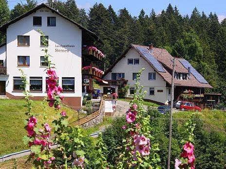 Pension sternen