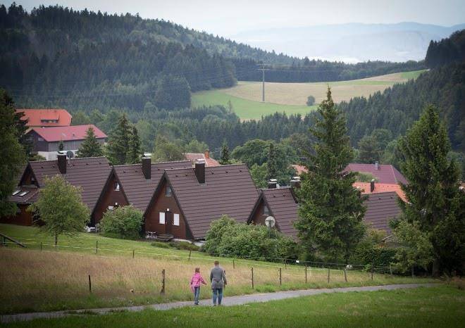 Unter den tannen