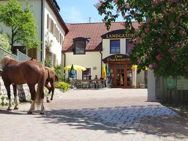 Landgasthof zum elsabauern