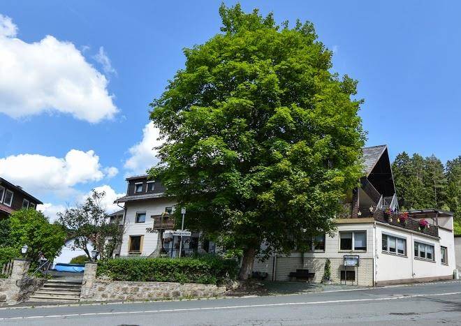 Solidar hotel goldener stern