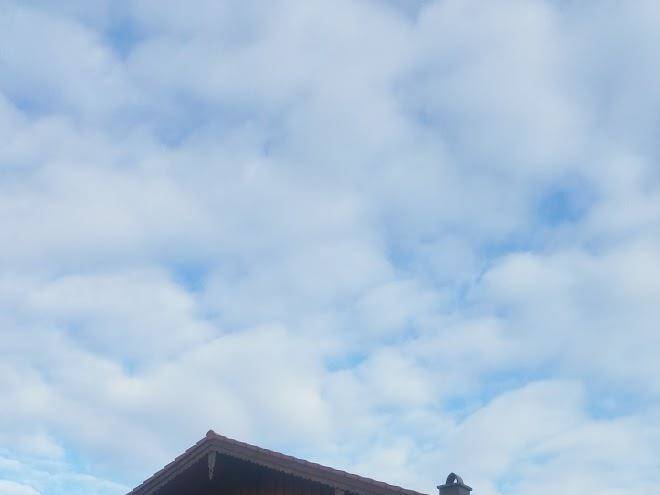 Haus boten