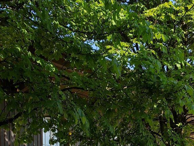 Wellness & sauna reiter alm