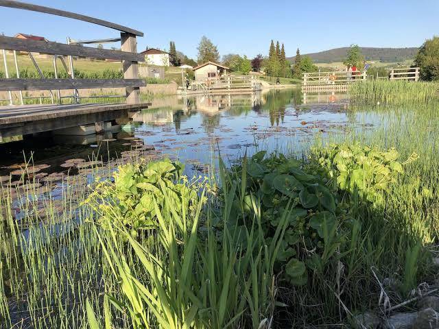Hotel Gasthof Zum Bach Image