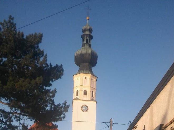 Lederle hof