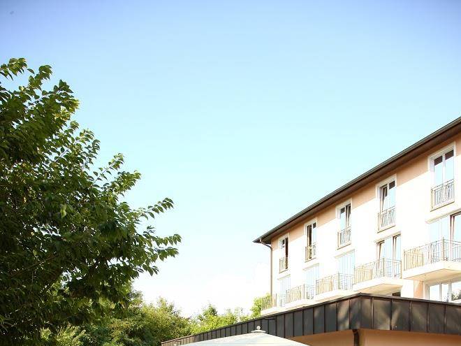 Dehner blumen hotel