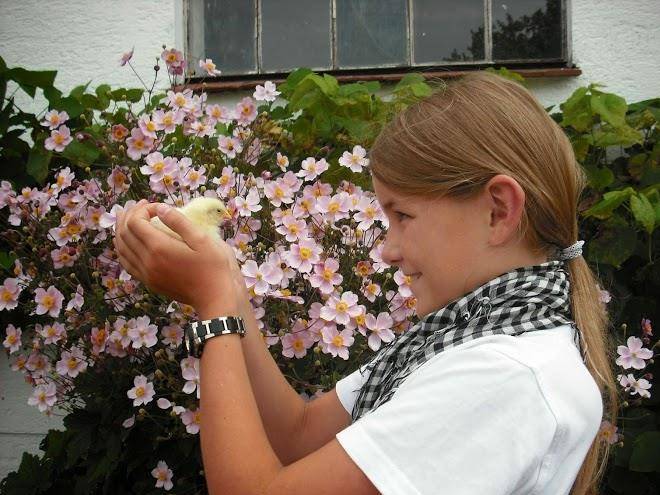 Kromers Erlebnishof Image