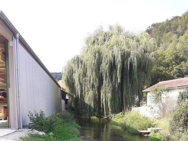Ferienhaus am muhlbach