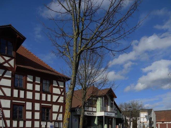 Brauereigasthof geyer kg