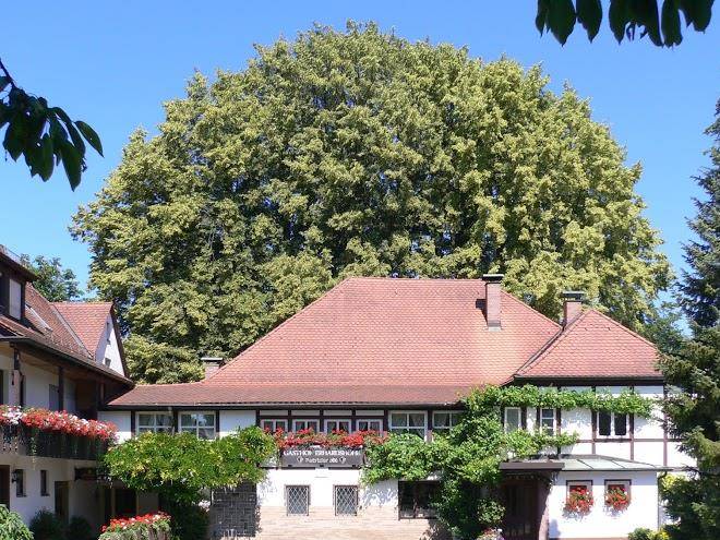 Erhardshohe