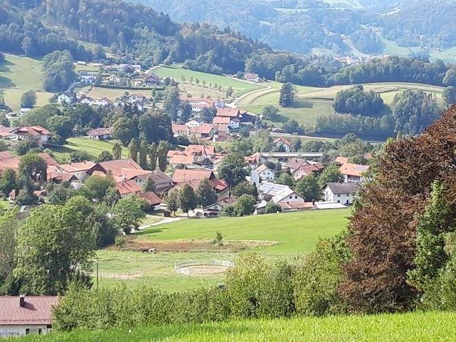 Danibauer