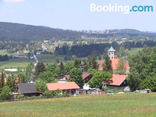 Ferienhotel hochstein am wald