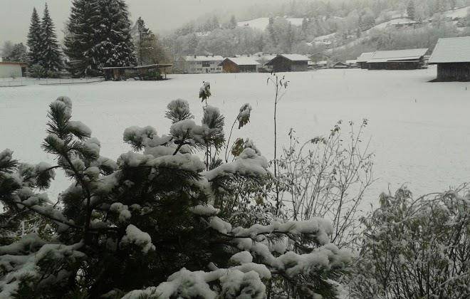 Ferienwohnung am landbach