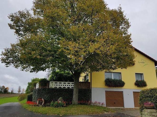 Lindenhof