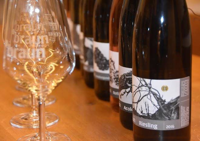 Weingut + gastezimmer karl braun