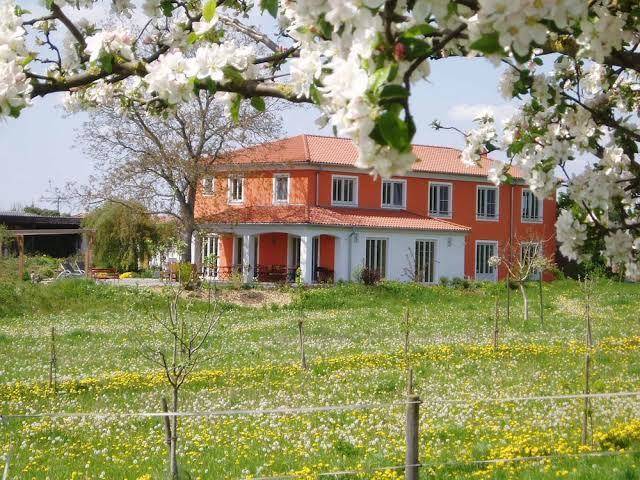 Weinhof am nussbaum
