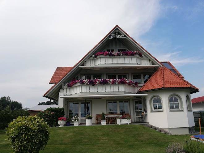 Haus foger