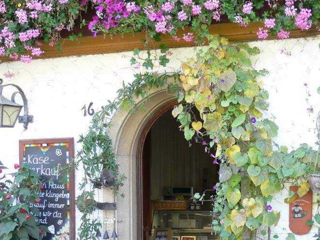 Tannen hof ladele