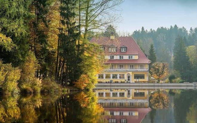 Hotel waldsee