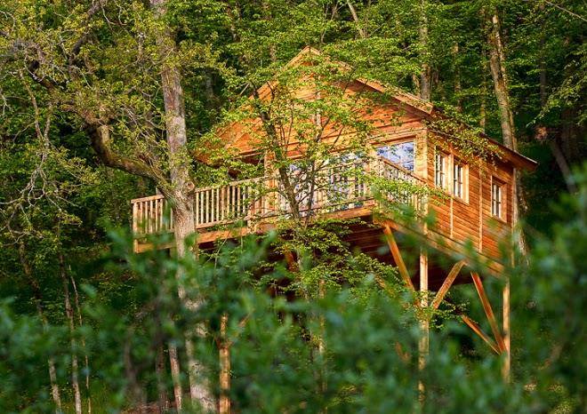 Baumhaushotel seemuhle