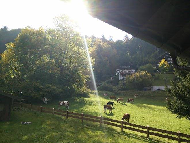 Gastehaus centa