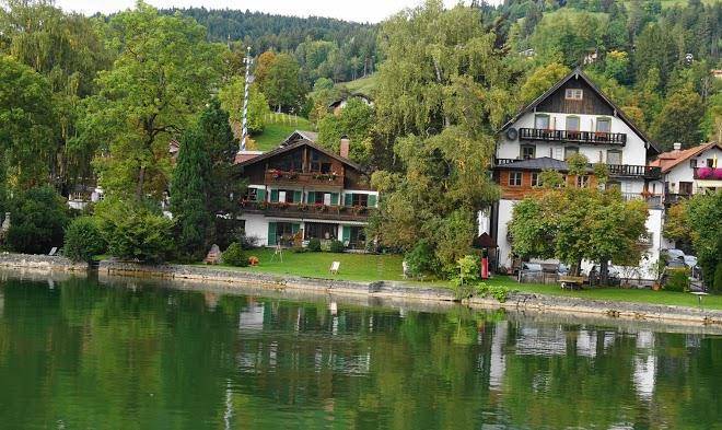 Schmetterer am see