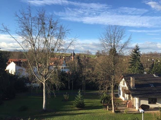 Zum lowen gasthaus & hotel