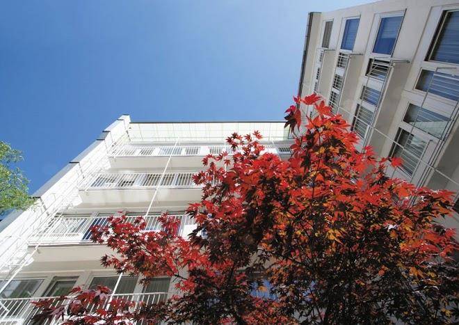 Hotel condor