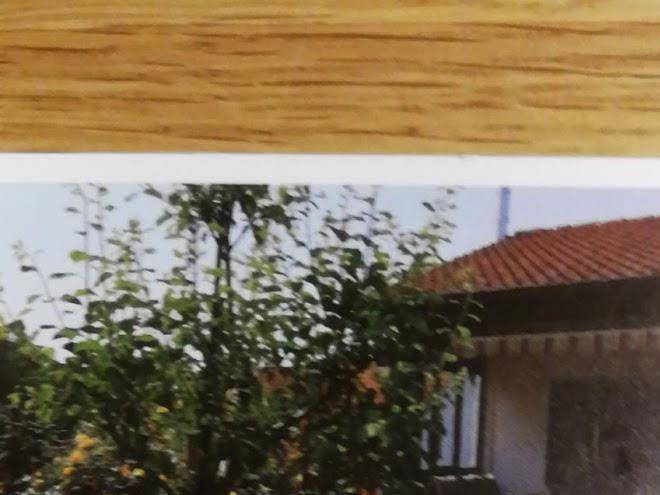 Ferienwohnung gitta
