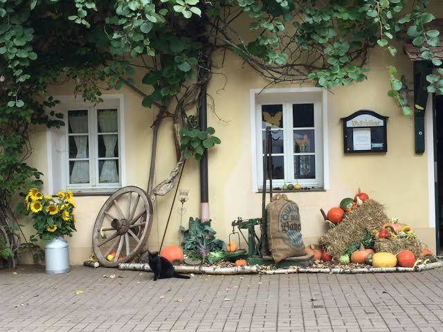 Landpension schmererhof