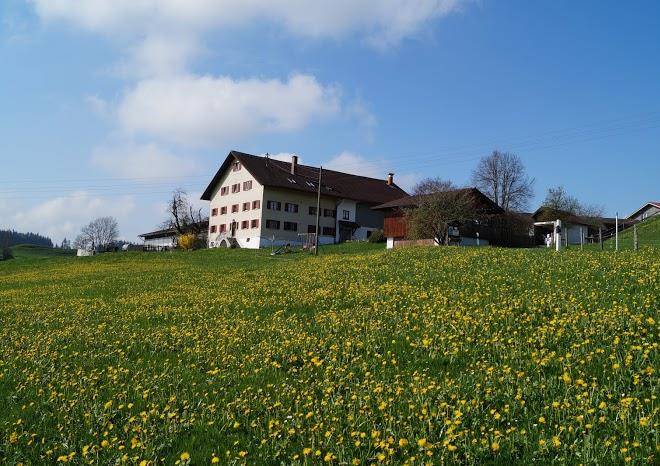 Bauernhof sommer