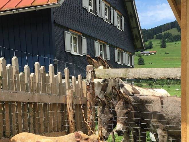 Grimmhof