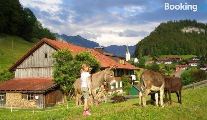 Haus willi
