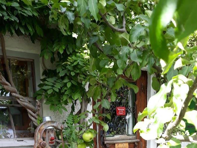 Marianne Heckelsmuller Image